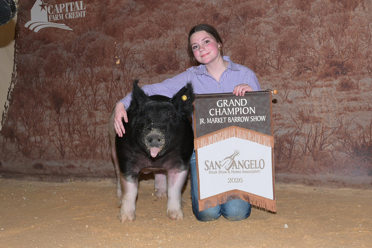 San Angelo Grand Champion Market Barrow