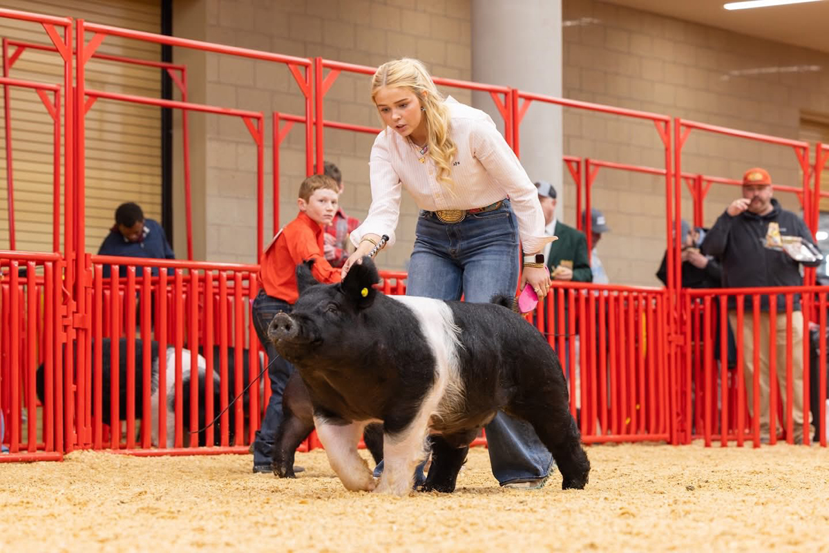 Fort Worth Reserve Overall Market Barrow
