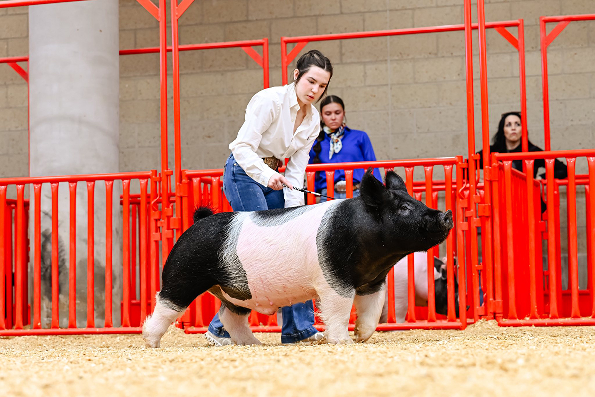 Fort Worth Reserve D3 Cross Barrow