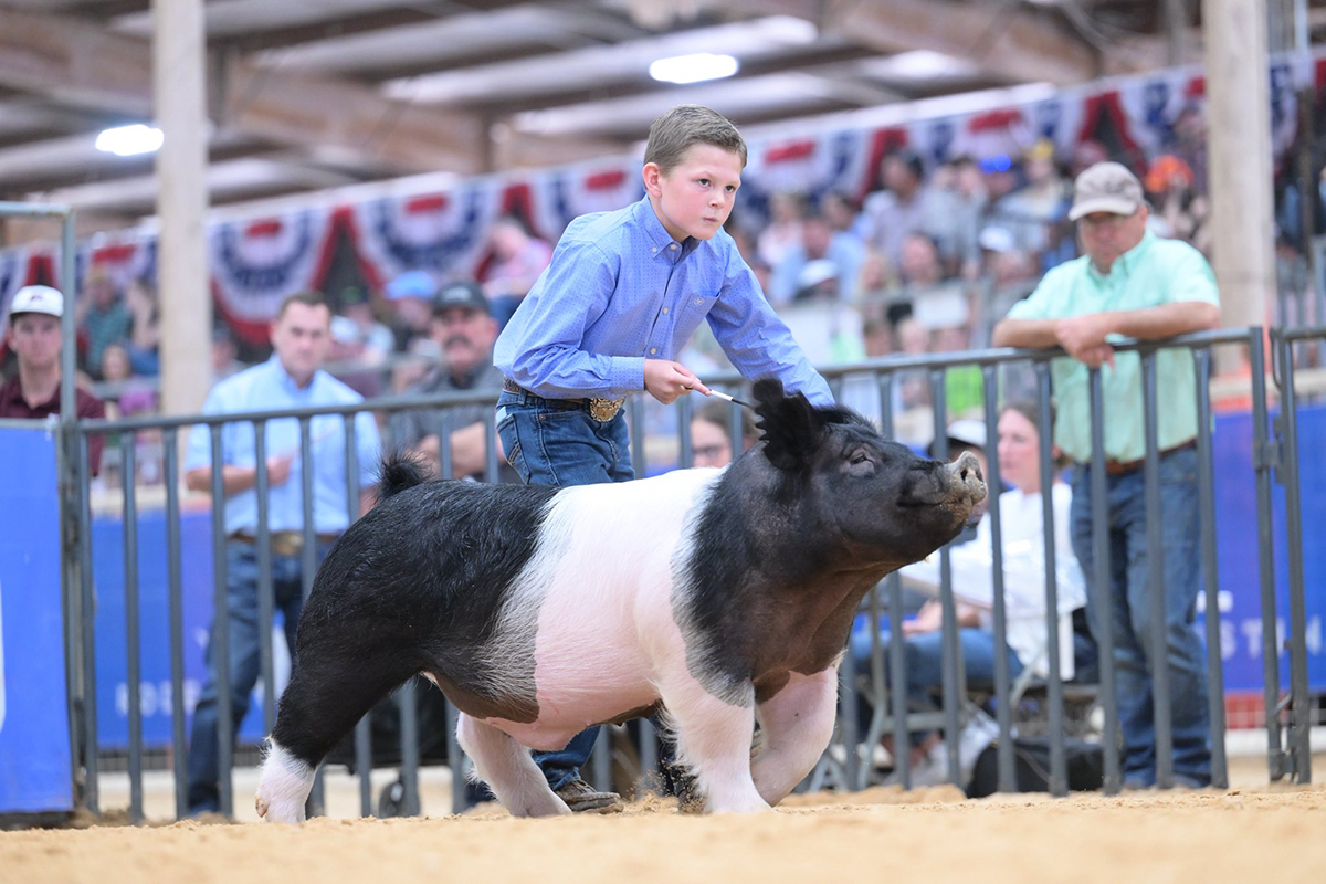 Rodeo Austin Reserve Lightweight Cross Barrow