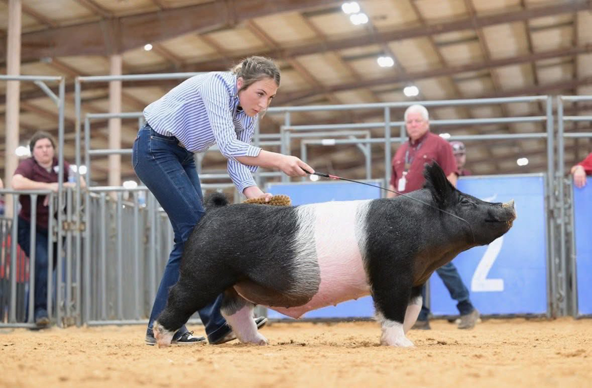 Rodeo Austin Class Winning Cross Barrow