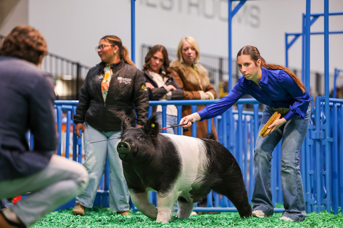 Houston Class Winning Cross Barrow