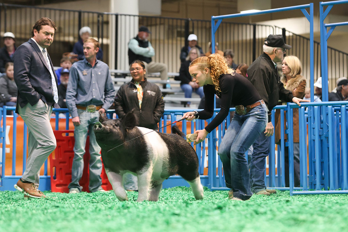 Houston 2nd Place Cross Barrow