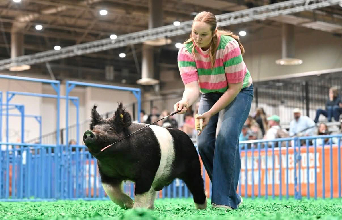 Houston 2nd Place Cross Barrow