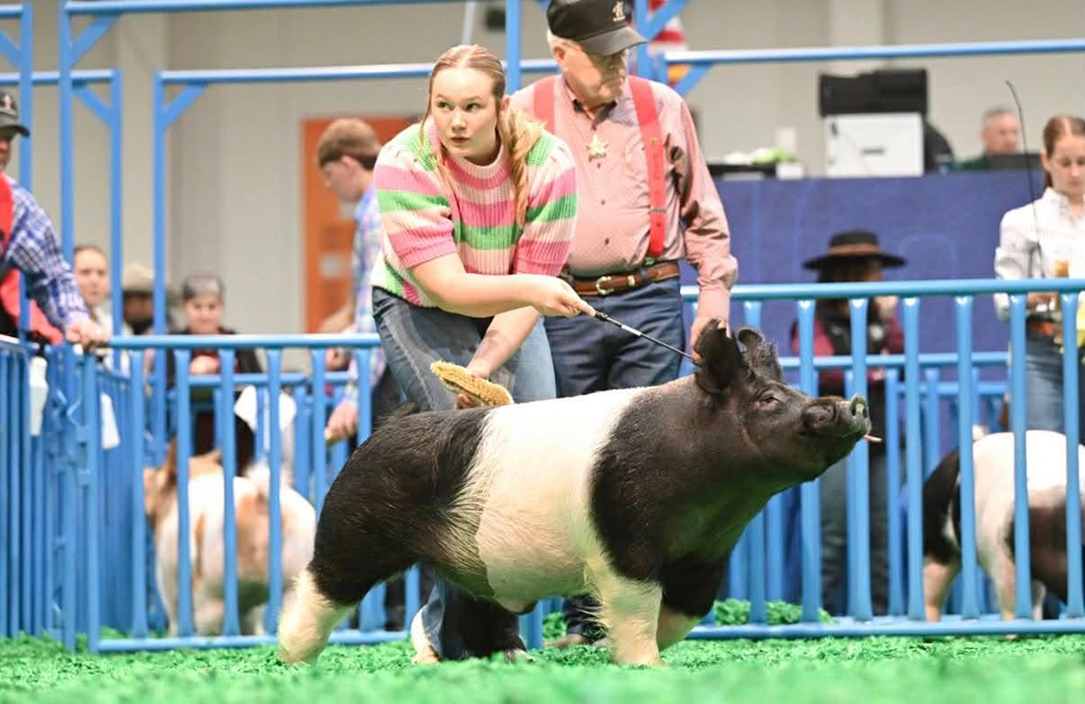 Houston 2nd Place Cross Barrow