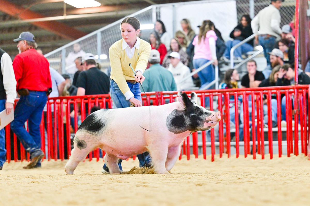 San Antonio Dark Cross Barrow