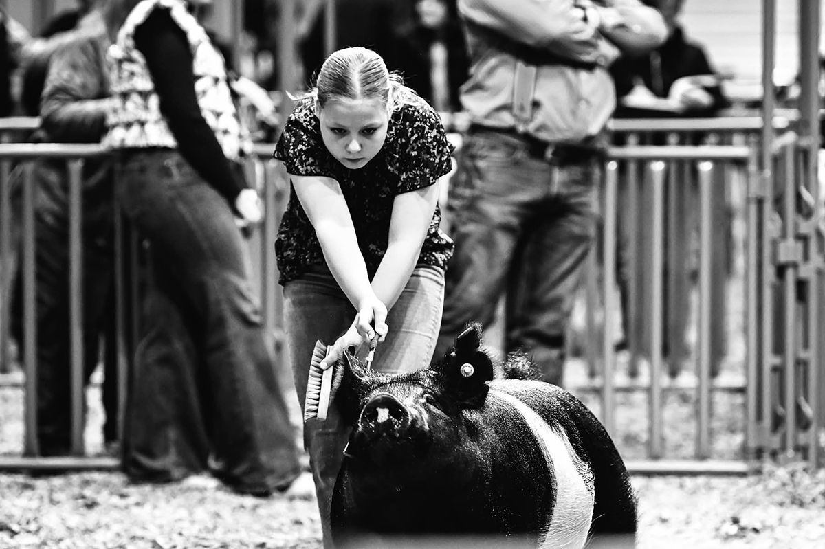 Houston 3rd Place Cross Barrow