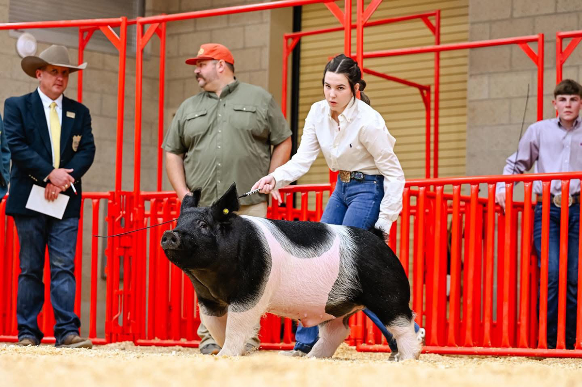 Fort Worth Reserve D3 Cross Barrow